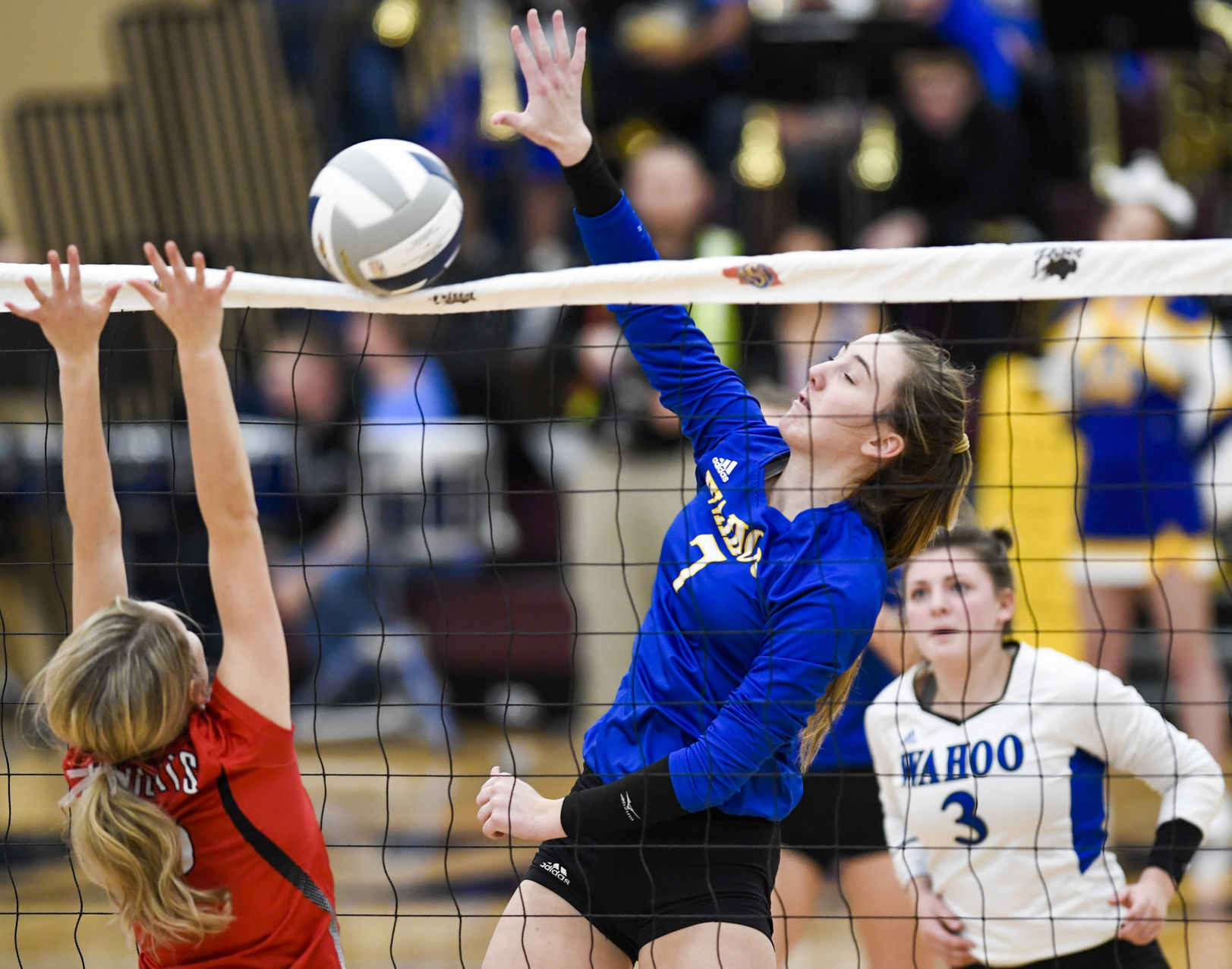 State volleyball, Wahoo vs. Norfolk Catholic, 11.7